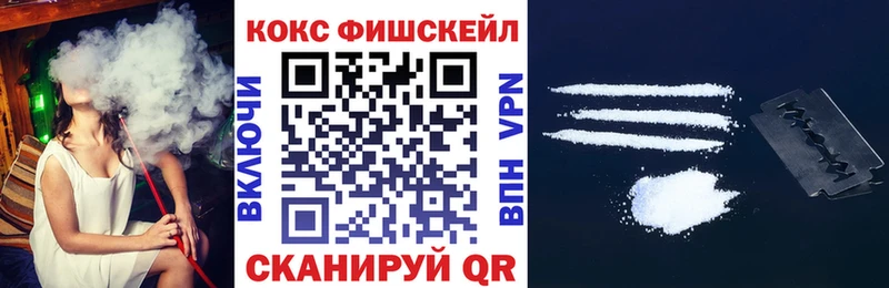 COCAIN Fish Scale  ссылка на мегу зеркало  Серпухов 