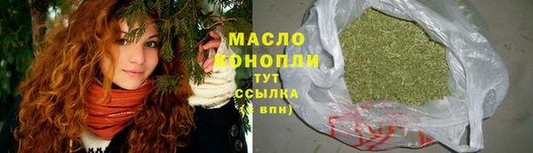 крисы Надым