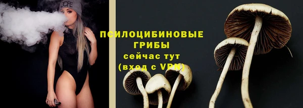 круглые Ладушкин