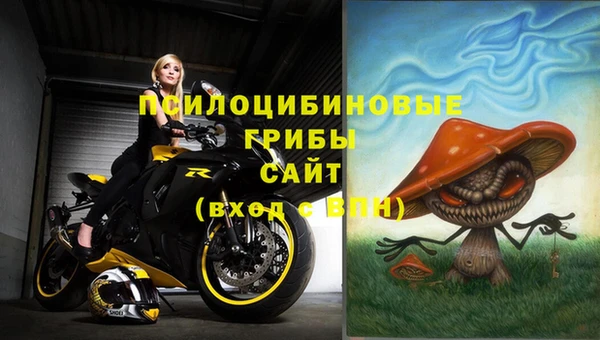 круглые Ладушкин