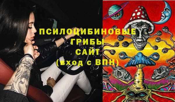 круглые Ладушкин