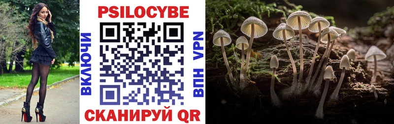 Псилоцибиновые грибы Psilocybe Серпухов