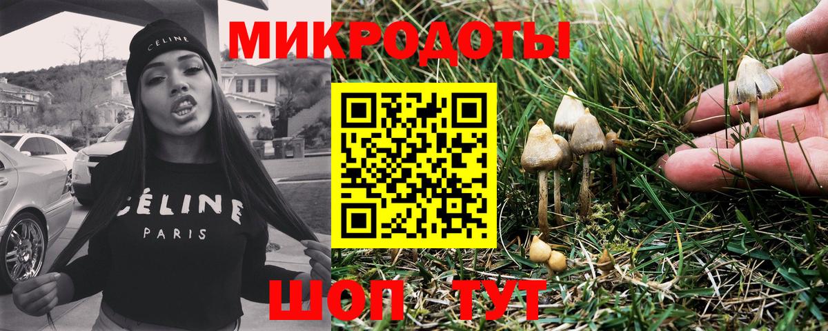 Псилоцибиновые грибы мицелий  Вход с VPN  Серпухов 