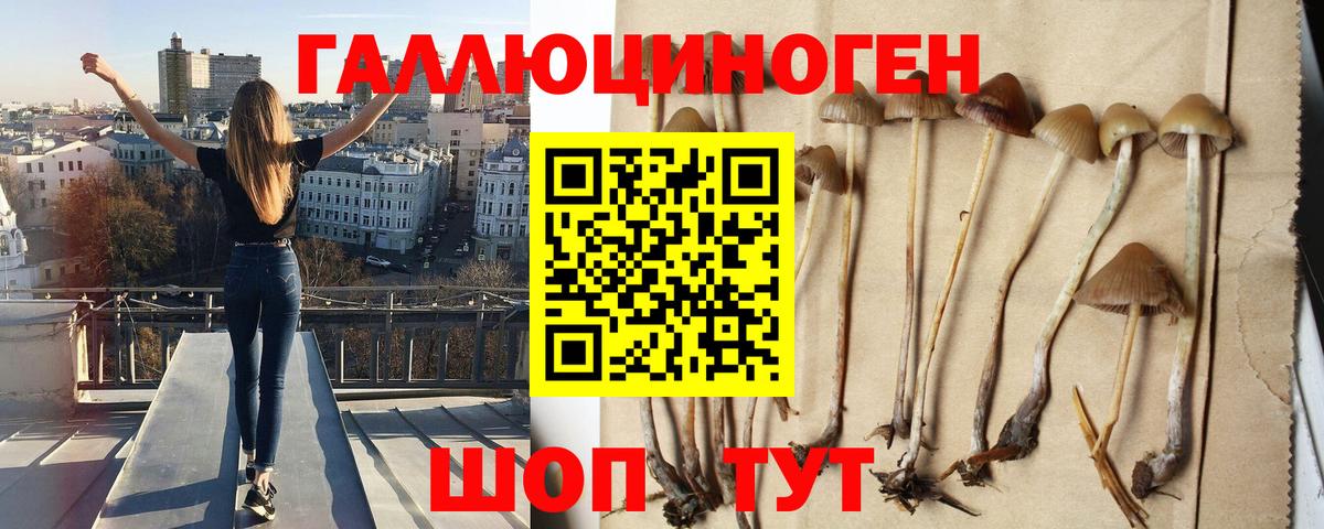 Псилоцибиновые грибы ЛСД  Серпухов 